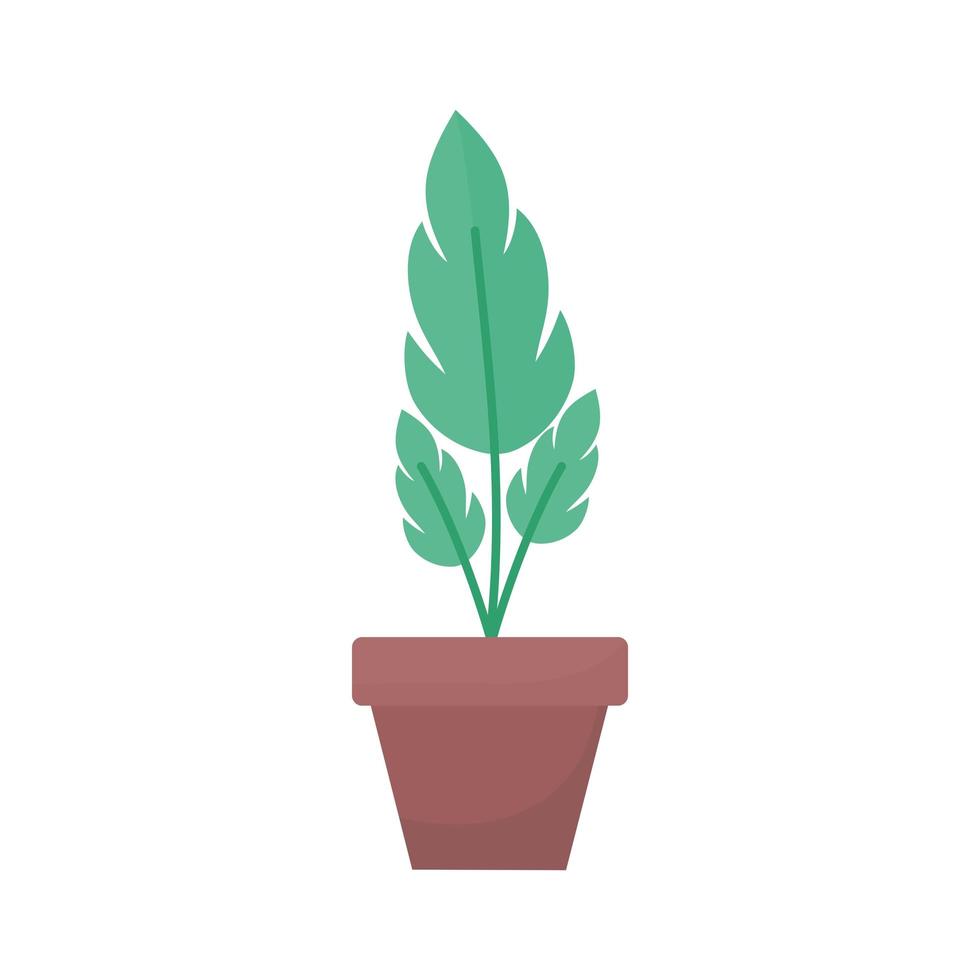 plant with three leaves in a pot vector