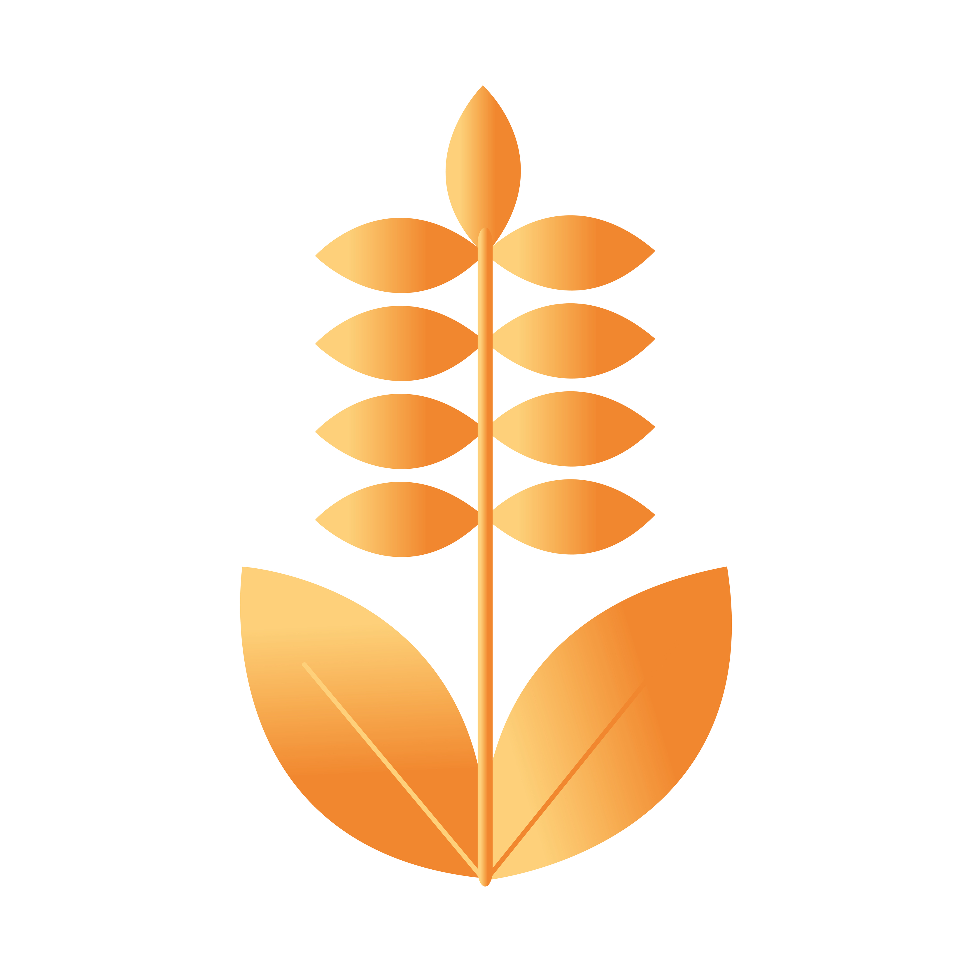 flower with a orange color 4431108 Vector Art at Vecteezy