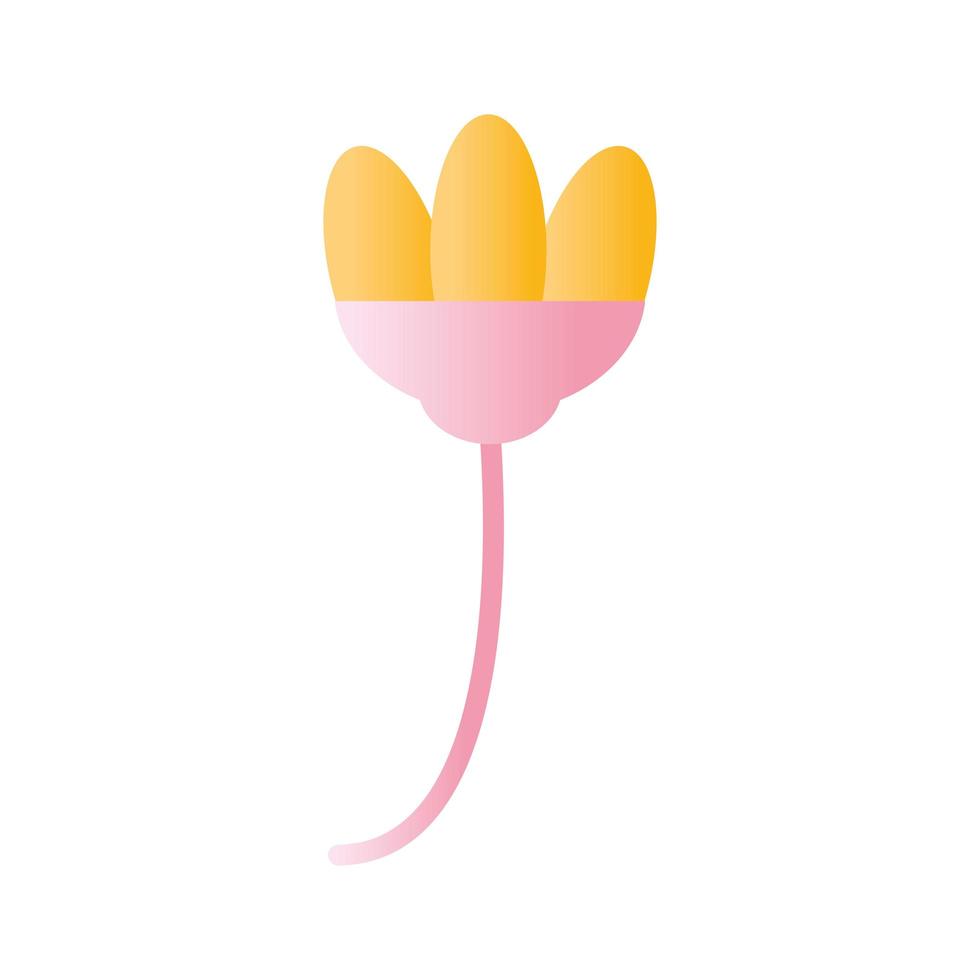 flower with a pink and yellow color on the top vector