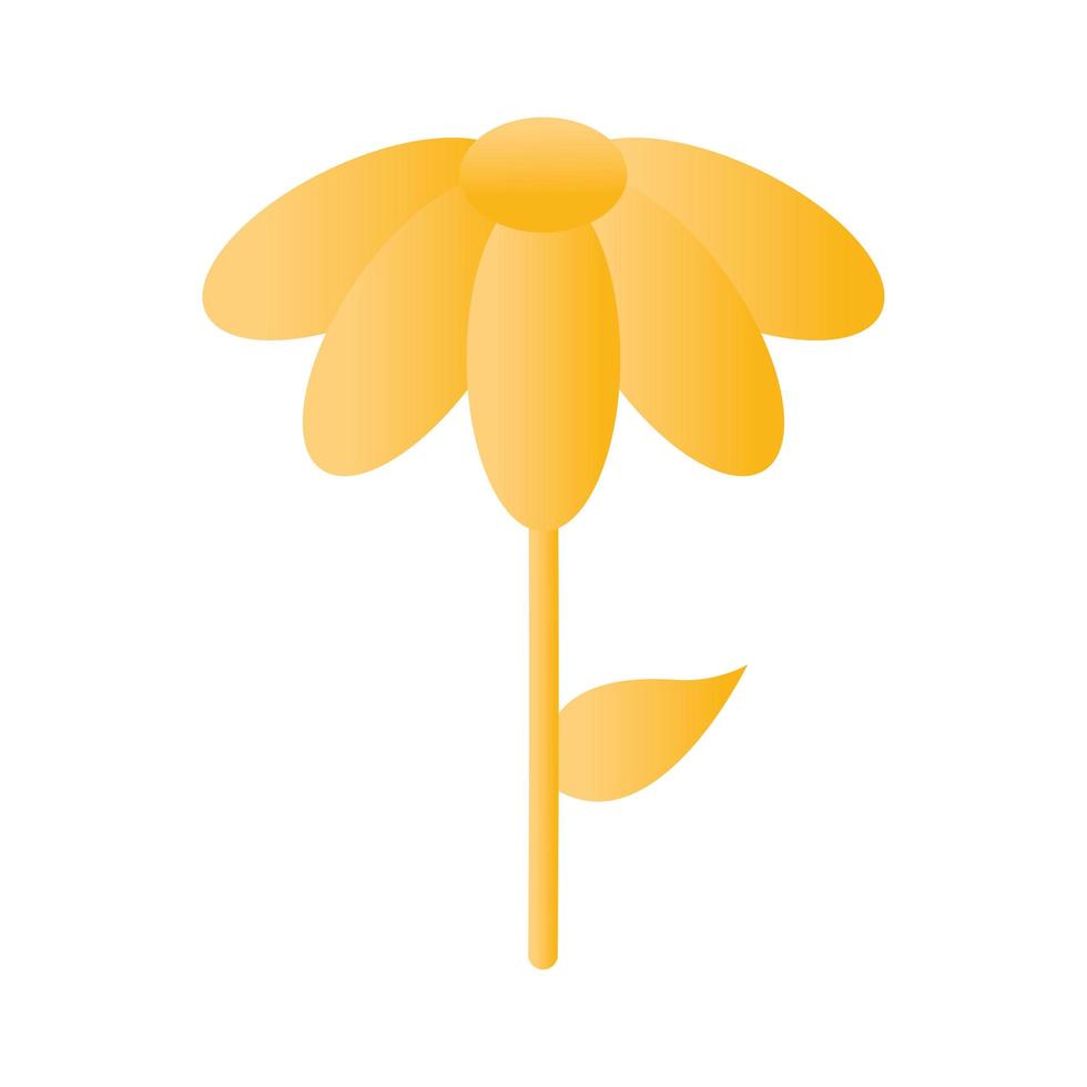 flower with a yellow color vector