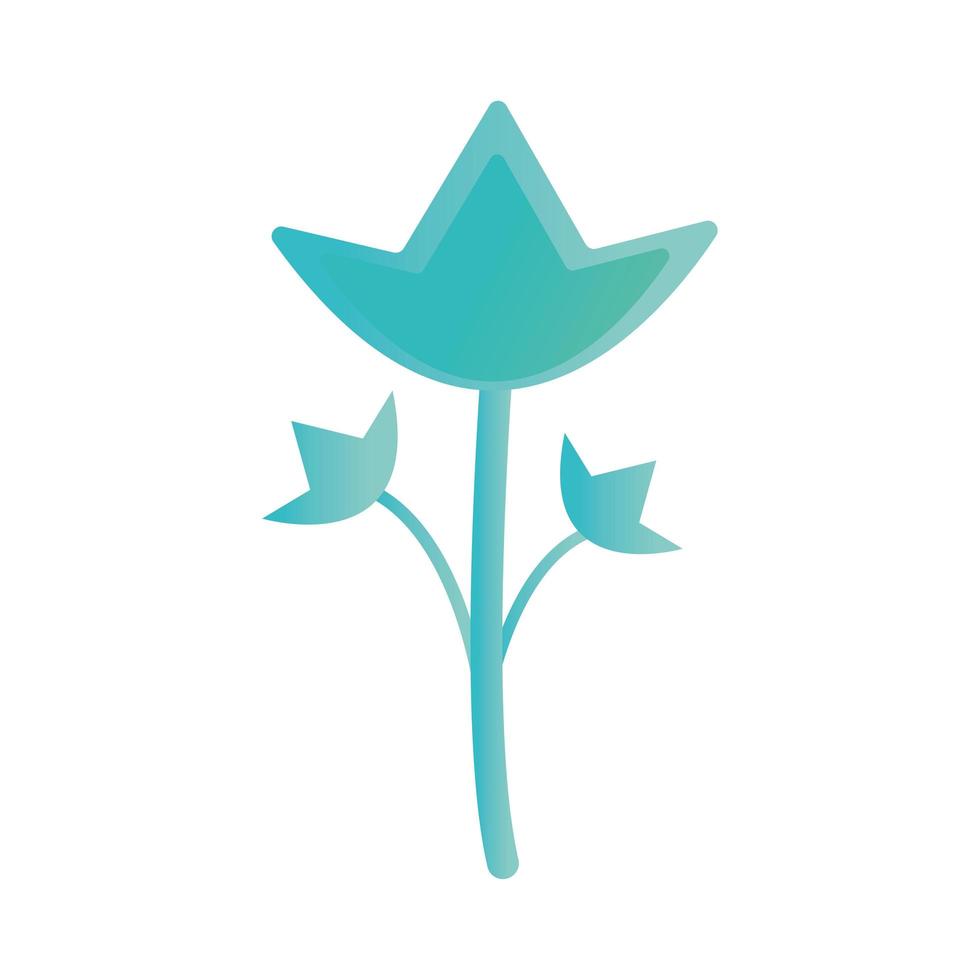 flower with a blue color vector