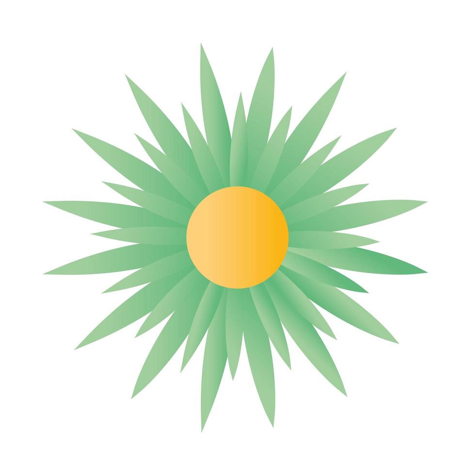 sunflower with a green color vector
