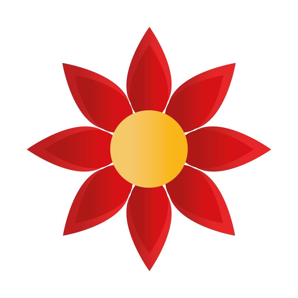 sunflower with a red color vector