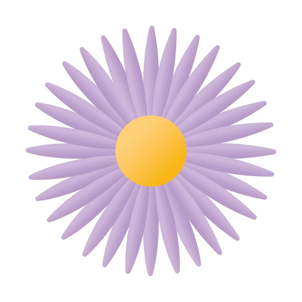 girasol con un color morado vector