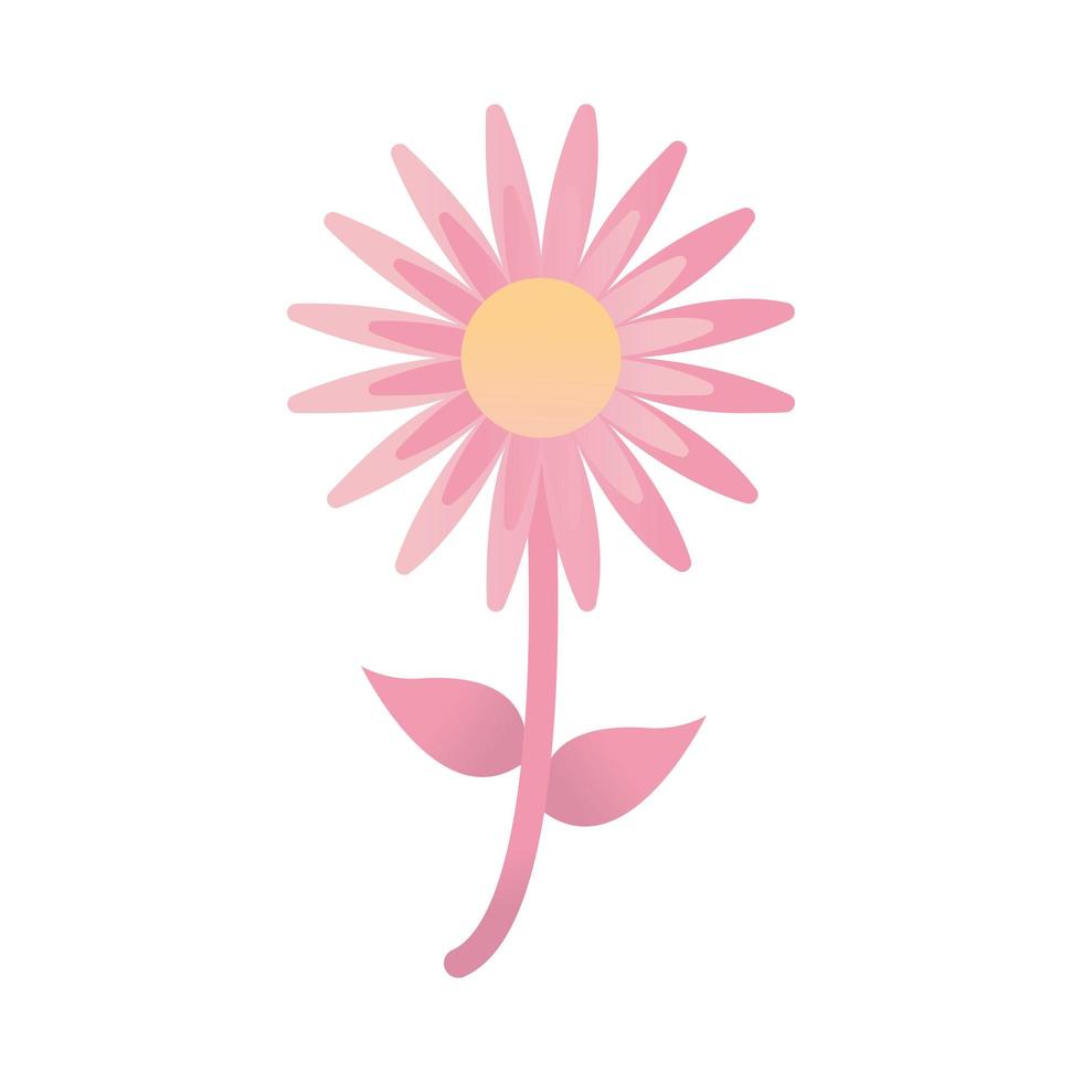 sunflower with a pink color vector