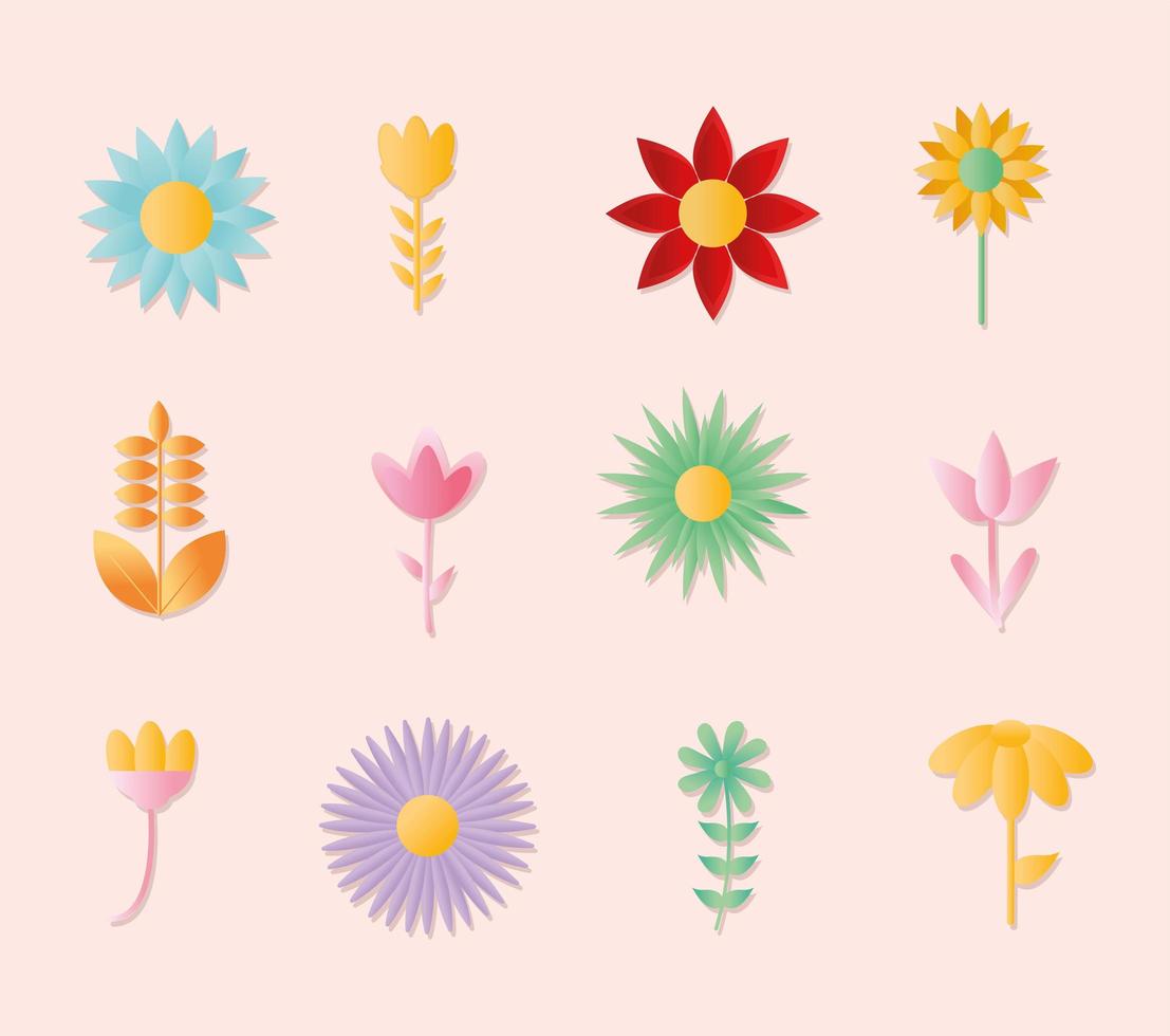 set of flowers icons on a ligth pink background vector
