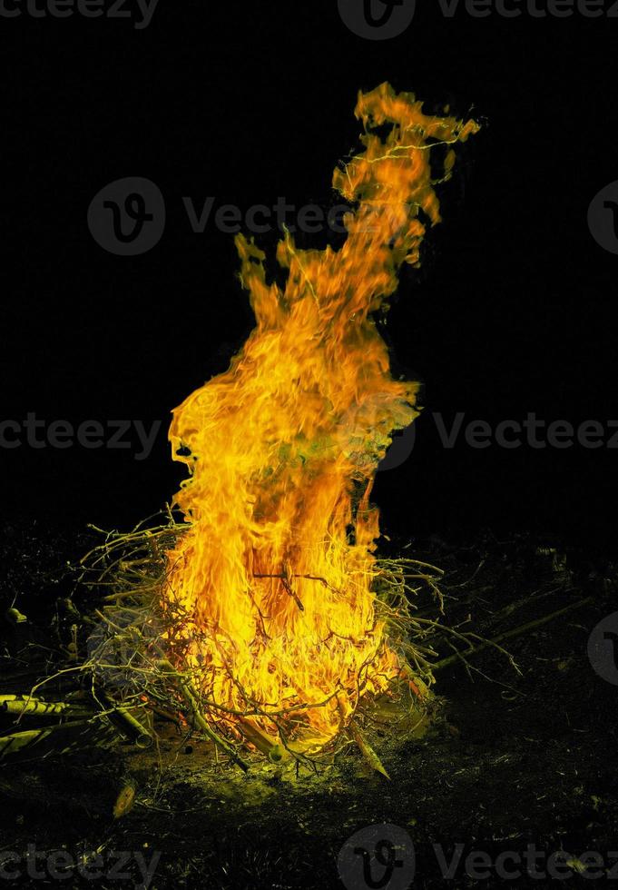 Burning fire at night photo