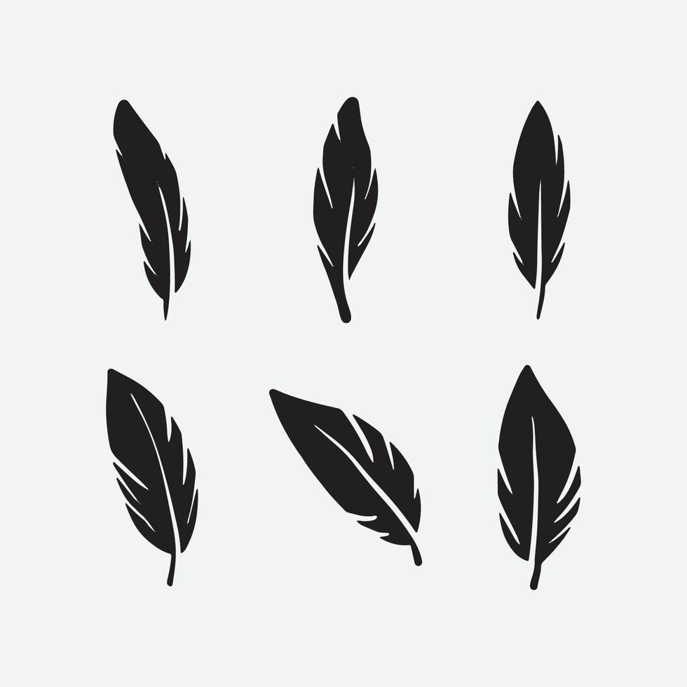 Feather set collection vector