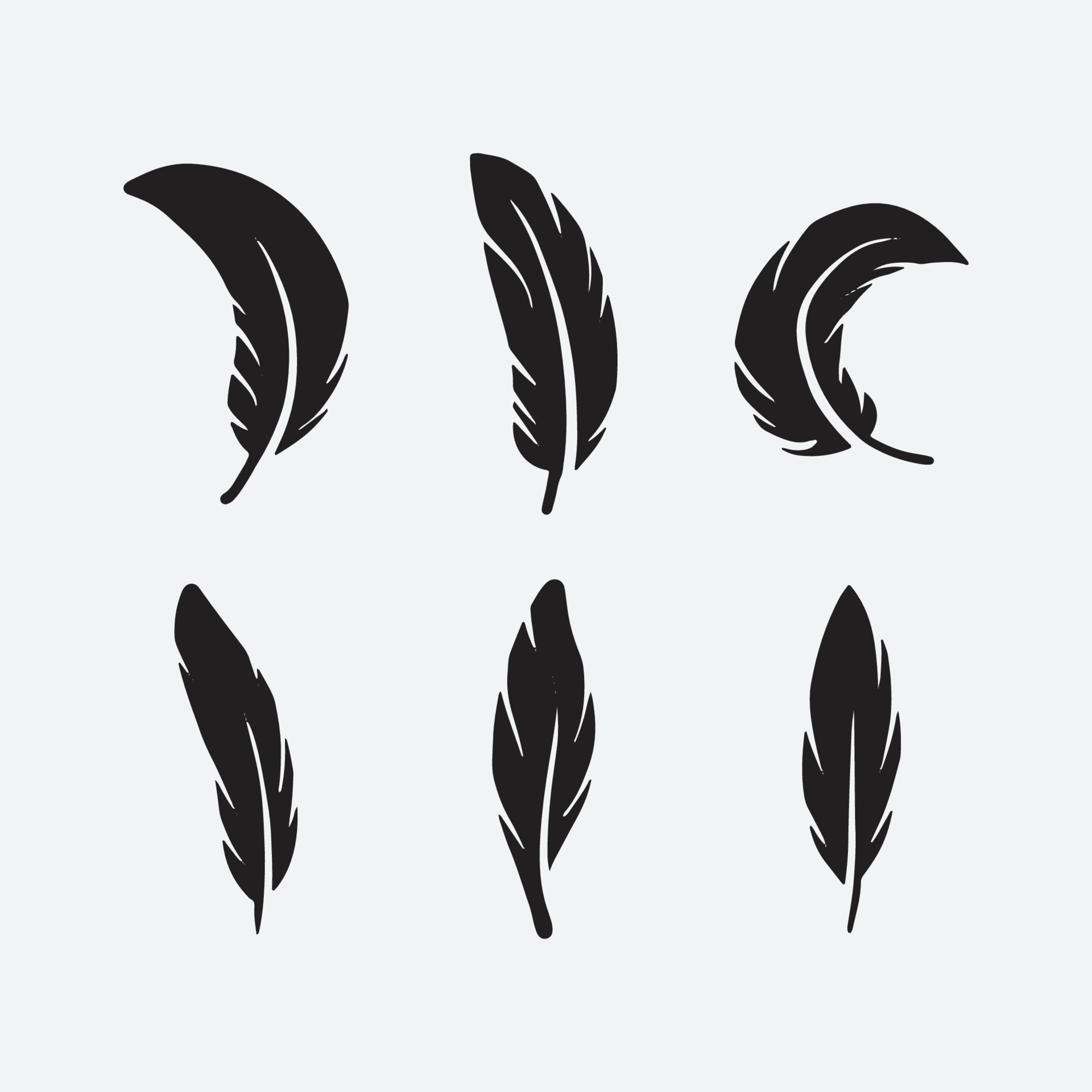 Feather set collection 4432042 vector art at vecteezy