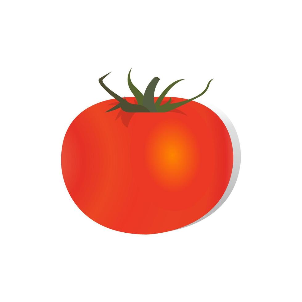 Tomatoes realistic vector illustration