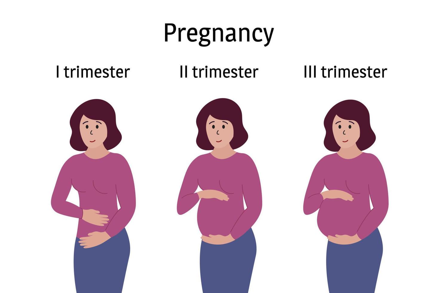 etapas del embarazo. mujer embarazada de pie, sonriendo y tocando el vientre en diferentes períodos trimestrales. cambios corporales, el vientre crece. infografías vectoriales vector