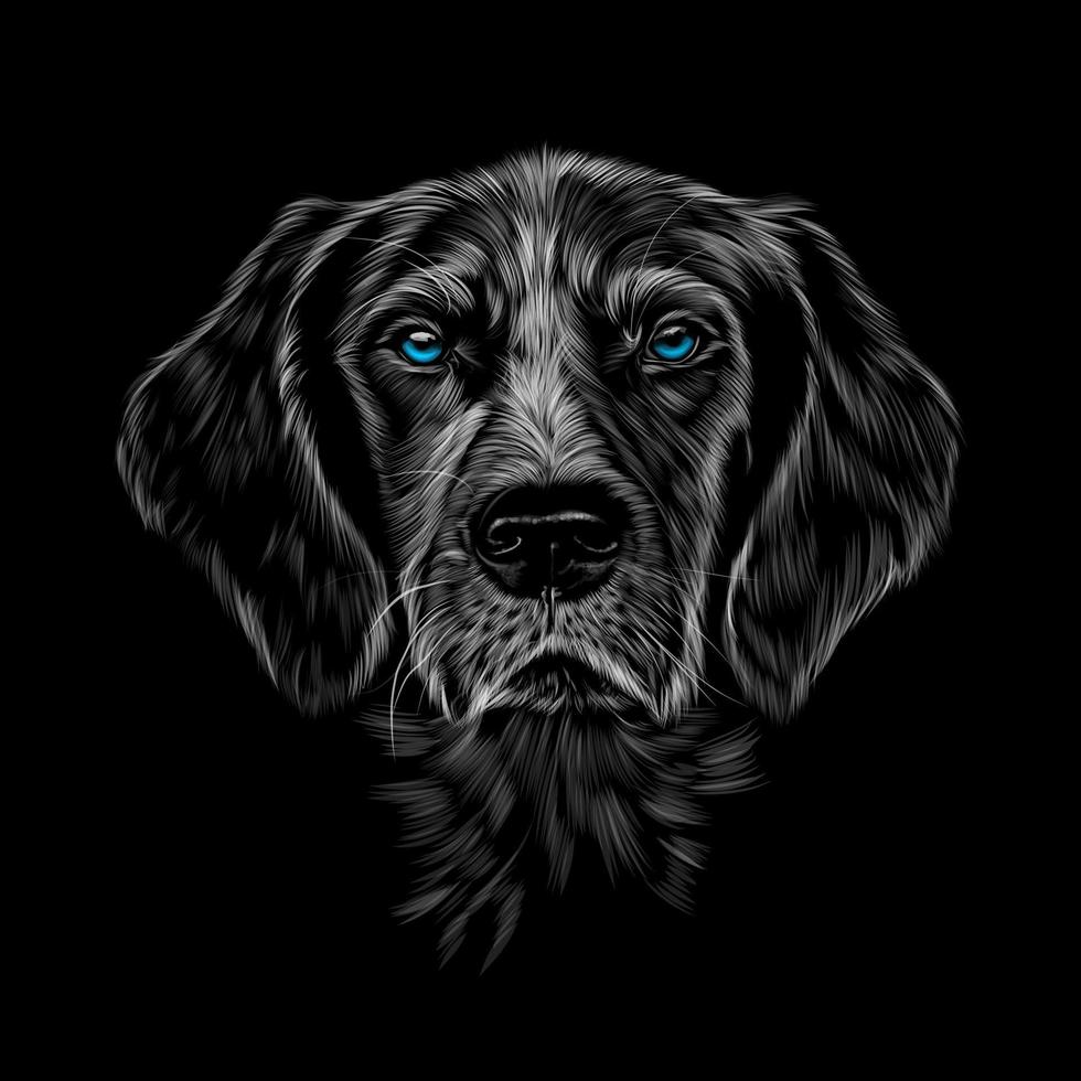 Head portrait of Kurzhaar pointing dog breed, german shorthaired pointer, spaniel on a black background. vector