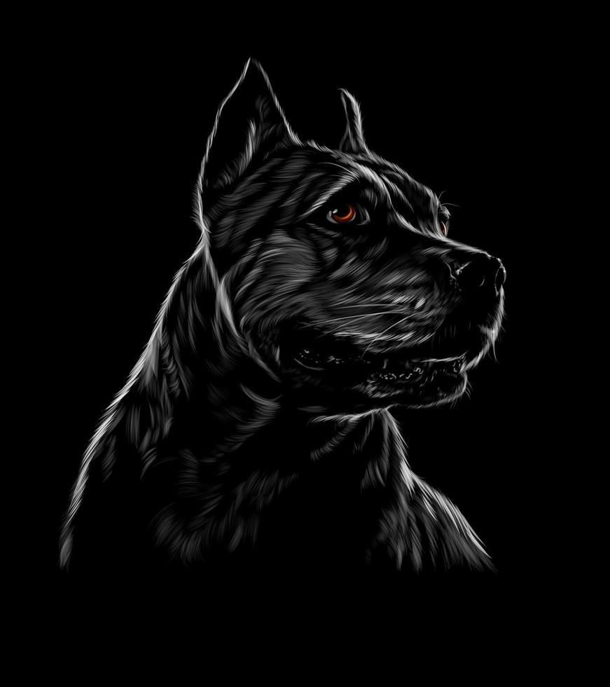 American Pit Bull Head Portrait, staffordshire terrier on black background. Vector illustration of paints