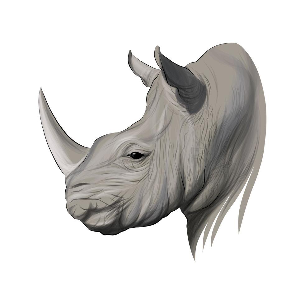 Rhino head portrait, rhinoceros, color drawing, realistic. Vector illustration of paints