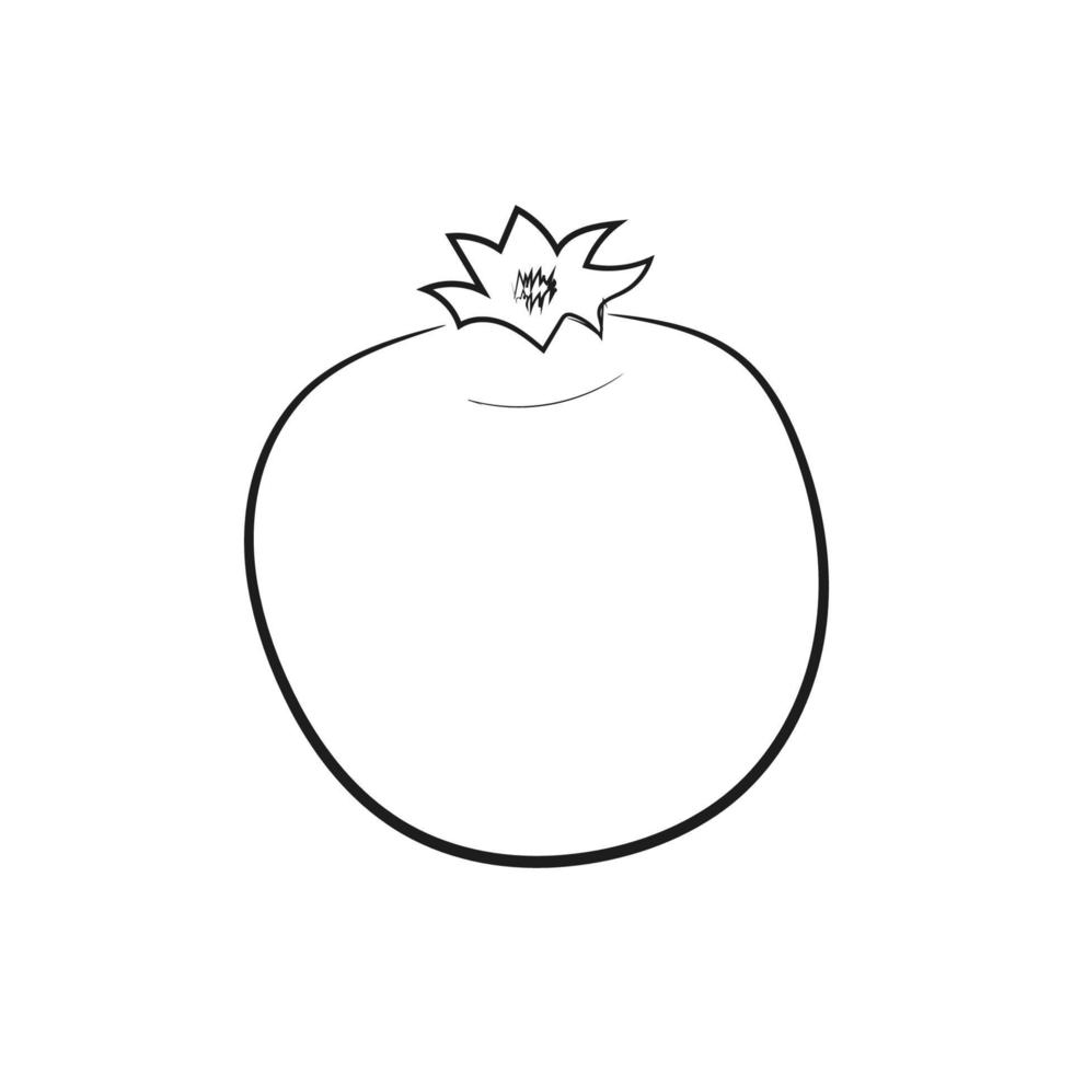 icono de arte de línea vintage con dibujo de Granada aislado sobre fondo blanco. Ilustración dibujada a mano para diseño web. icono de doodle de granate de fruta. ilustración de contorno vectorial vector