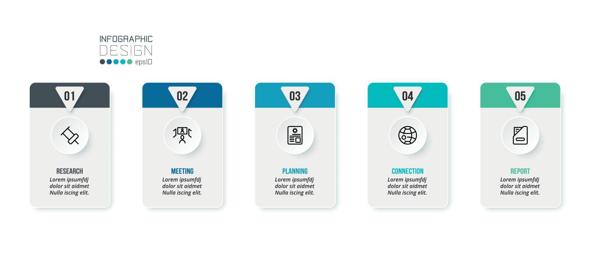 Business infographic  template with step or option design. vector