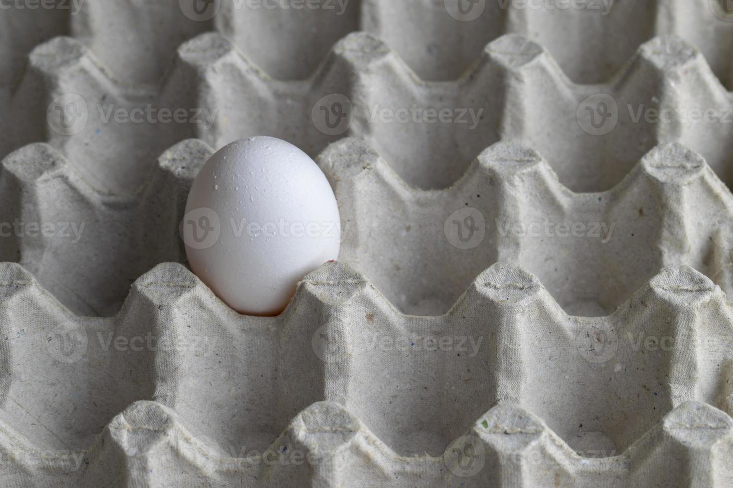 Chicken eggs in box photo