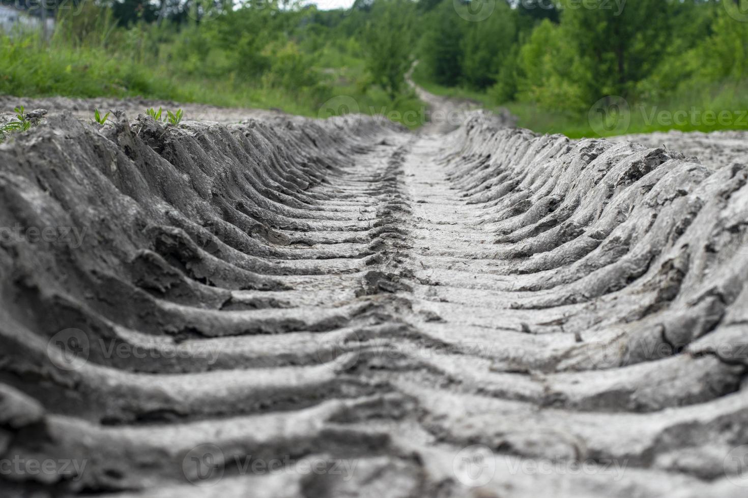 Dried track from a car tread in the forest. Ecological problem of temperature increase and drought. photo