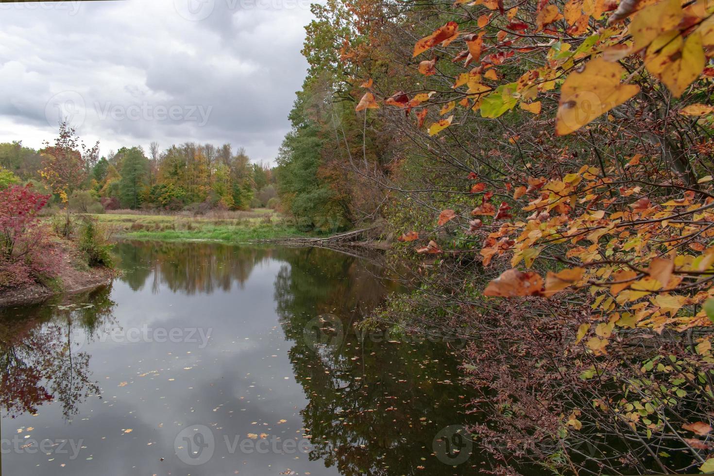 Gloomy autumn landscape of colorful forest by the river photo