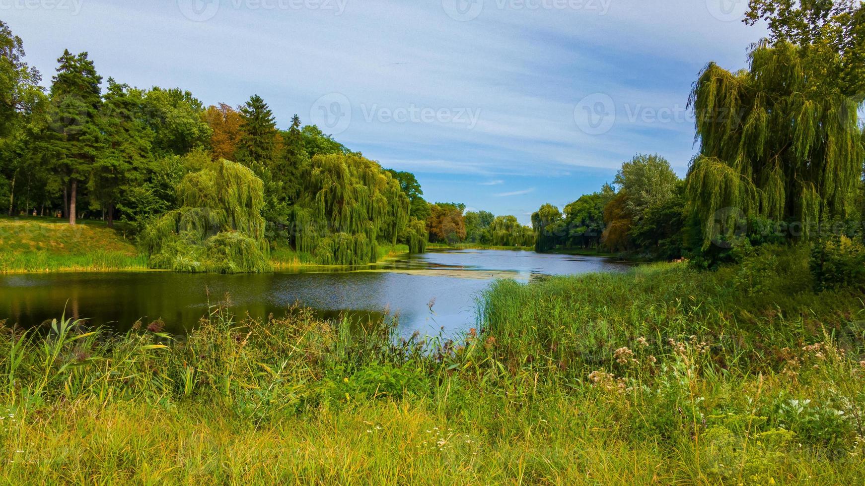 paisaje de río de naturaleza verde de verano. foto