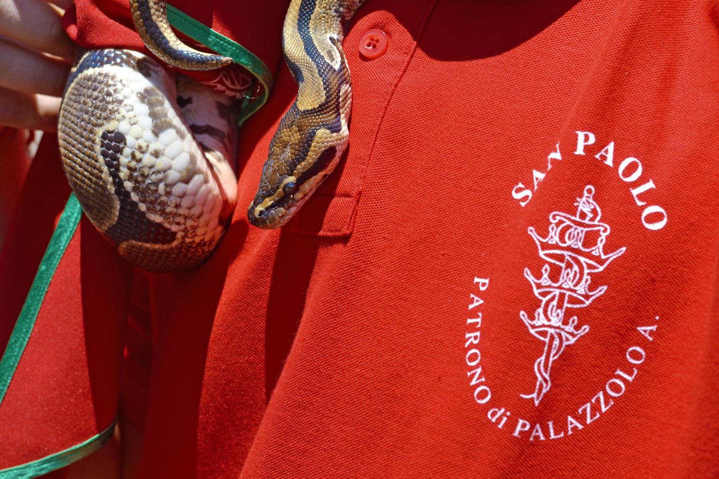 pitón bola en un poste rojo para la fiesta de st. paul palazzolo acreide, siracusa, sicilia. foto