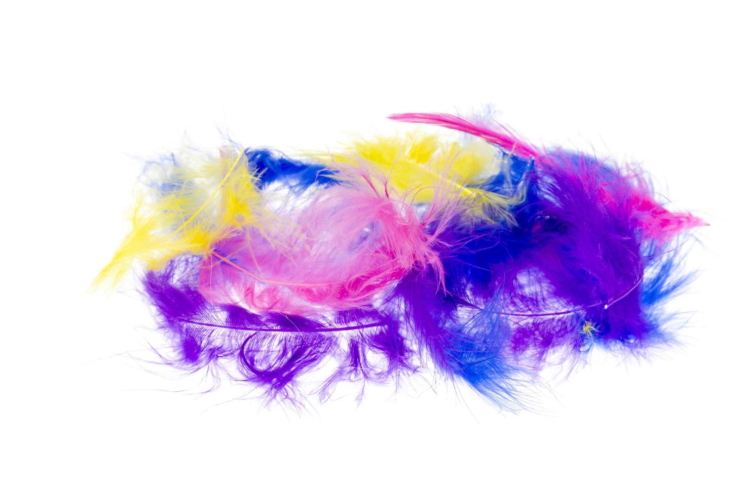 Decorative multi-colored feathers isolated on white background. photo