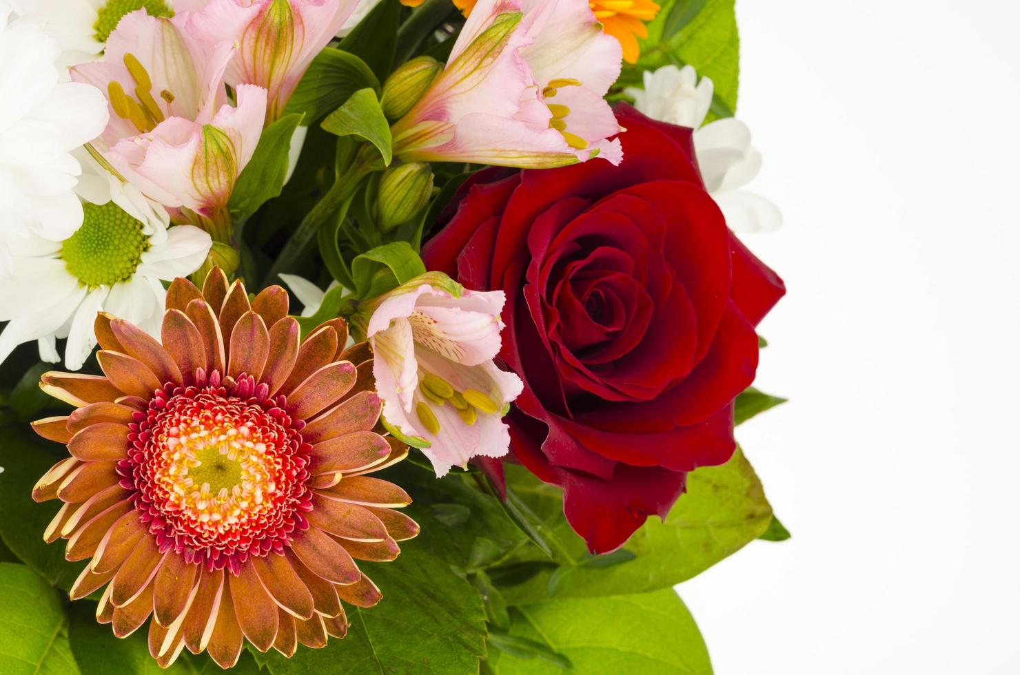 Part of flower bouquet, composition on light background. photo