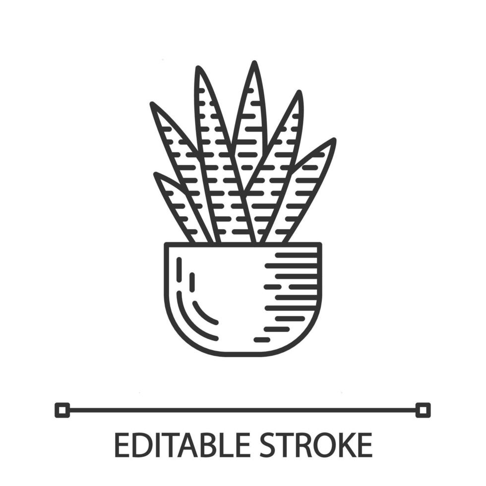 Zebra cactus in pot linear icon. Haworthia. Small succulent plant. House cacti. African exotic flora. Thin line illustration. Contour symbol. Vector isolated outline drawing. Editable stroke