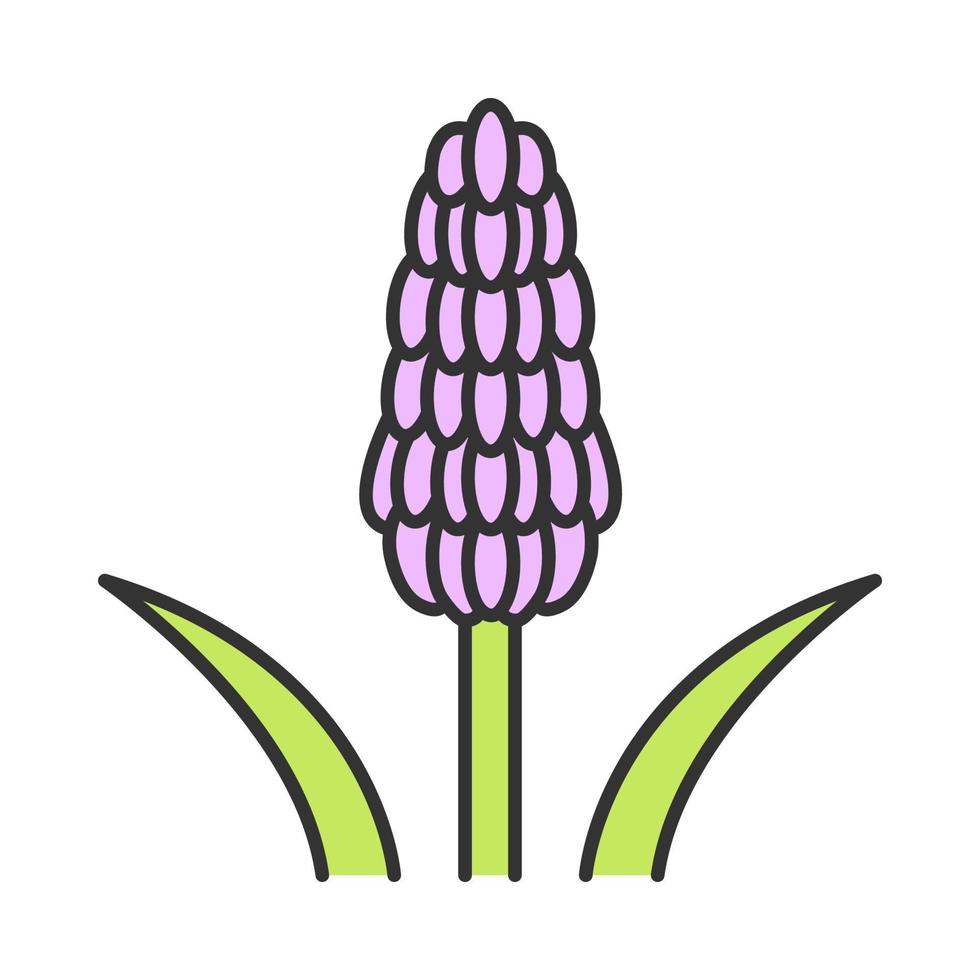 Red hot poker plant color icon. Tritoma. Kniphofia flower. Torch lily. Exotic flora. Muscari. Isolated vector illustration