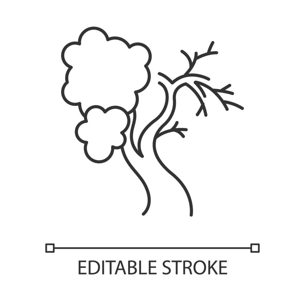 Fig tree linear icon. Old half dead tree. Healthy leaved part and dying part symbol. Biblical plant of life. Thin line illustration. Contour symbol. Vector isolated outline drawing. Editable stroke