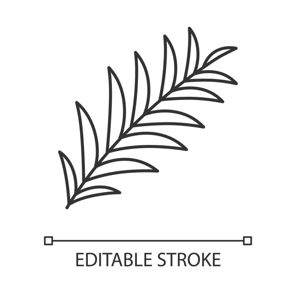 Palm branch linear icon. Tropical tree leafs. Symbol of victory, peace. Easter sign. Spring religious holiday. Thin line illustration. Contour symbol. Vector isolated outline drawing. Editable stroke