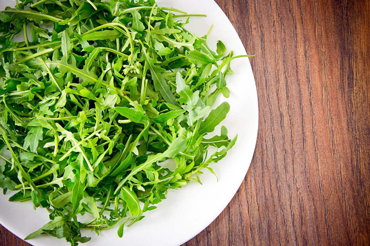 Arugula on Dark Woody Background photo