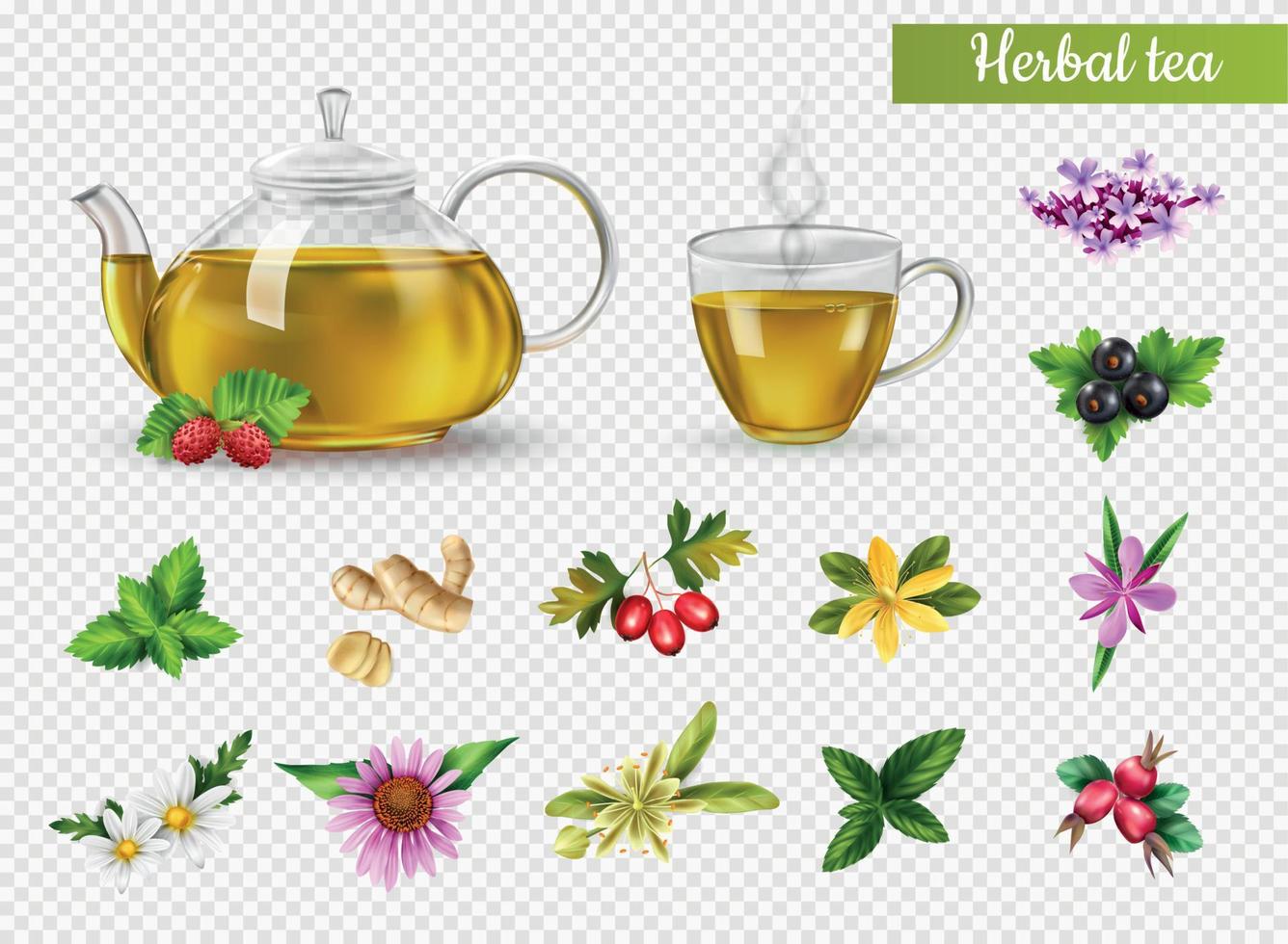 Herbal Tea Set vector