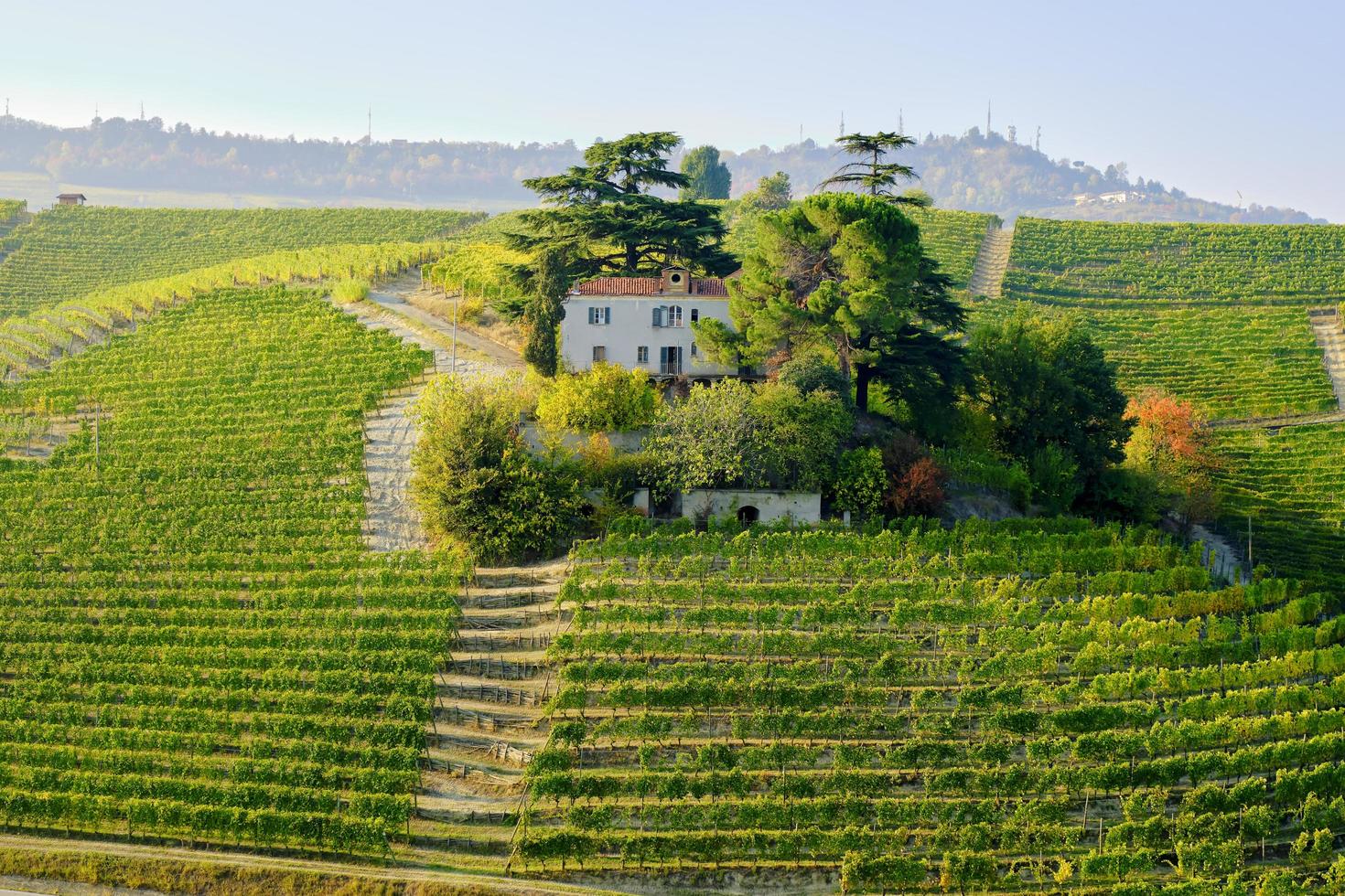 Barolo, Italy, 2021 - Farm surrounded by vineyards photo