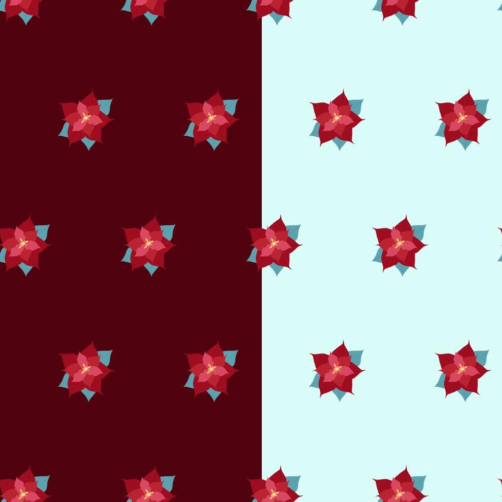 seamless, patrón floral, de, rojo, flor de navidad vector