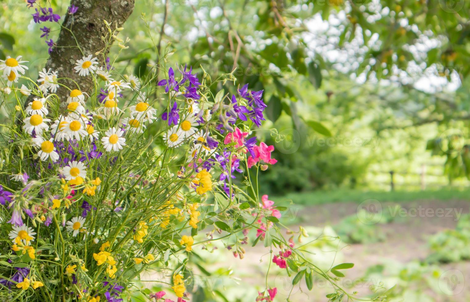 View of a mixed bouquet of wildflowers on a wooden table in the garden. Summer or spring day. Beautiful floral background. Copy space. photo