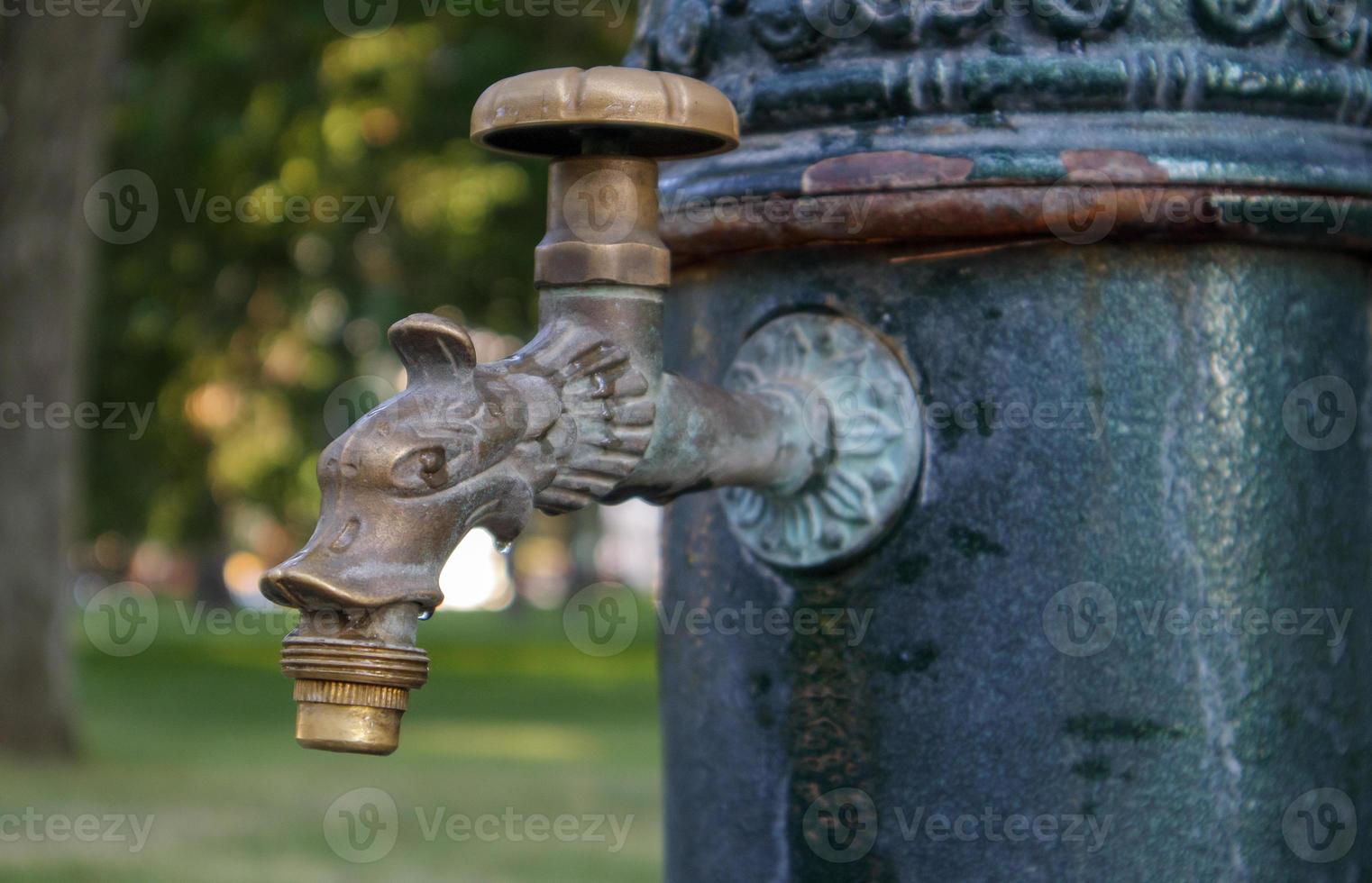 Water well in the park in summer, pumping system, close-up and side view of a beautiful metal bronze faucet. Part of an old iron outdoor tap. Click on the mineral water pump room. photo