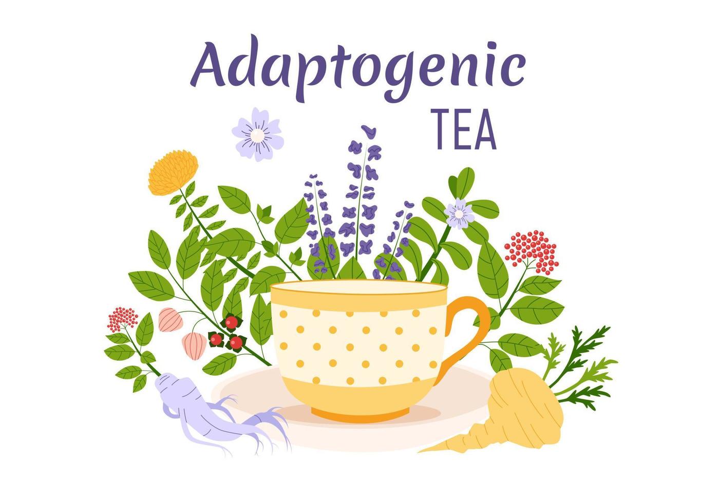 Adaptogen tea concept. Set of ayurvedic herbs and cup. Flat vector illustration.