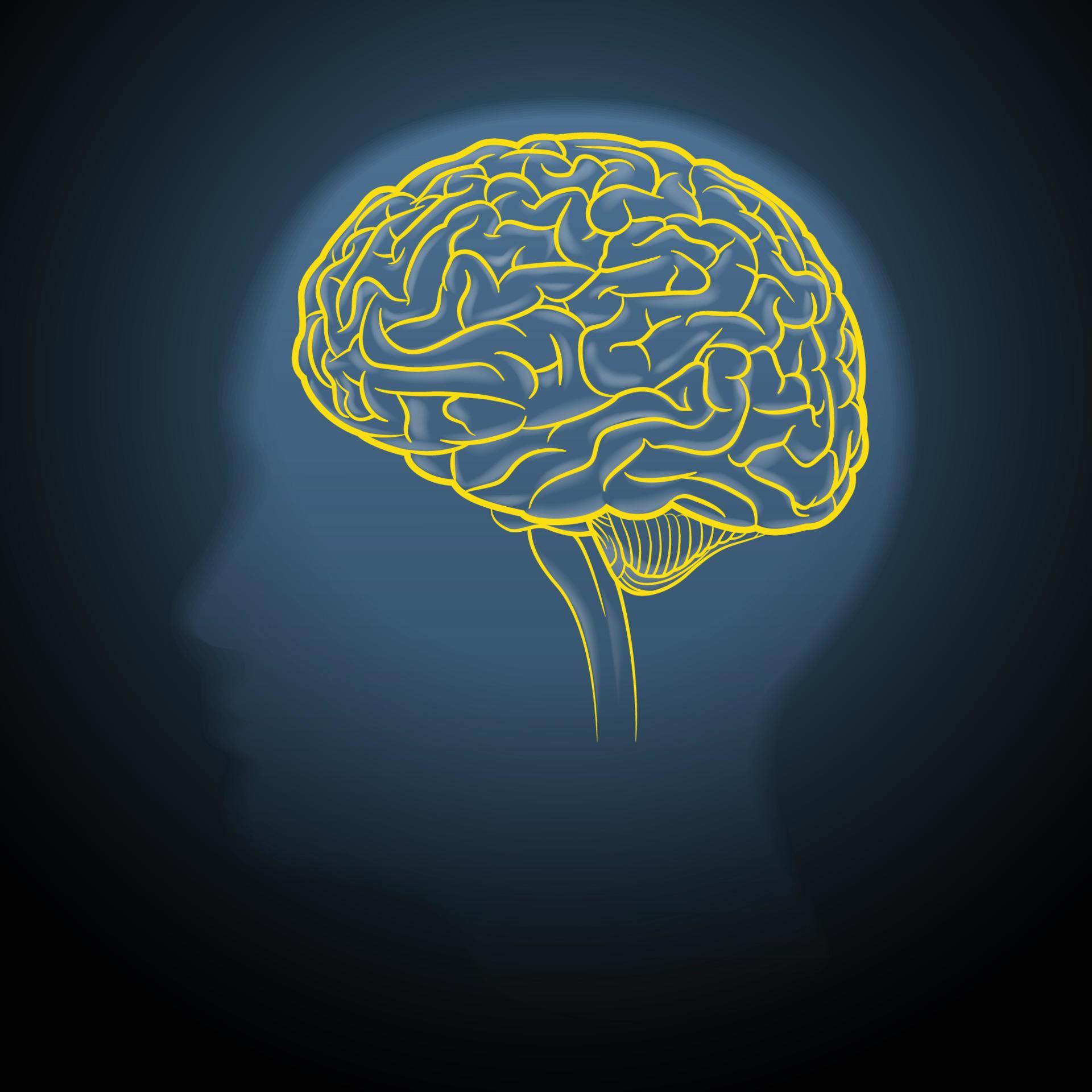 Yellow brain strokes on a dark gray background 4440045 Vector Art at
