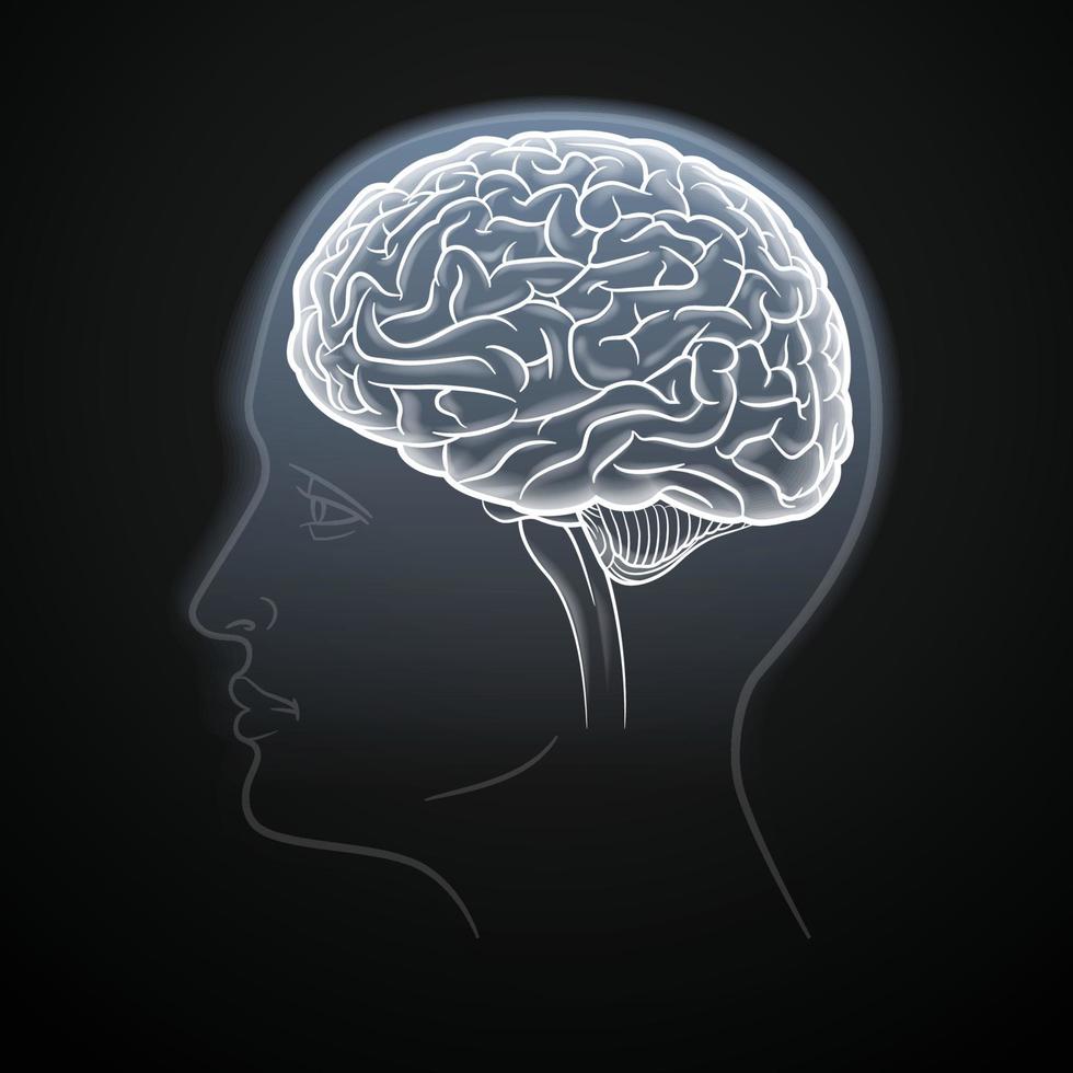 Brain drawing with white lines on black vector