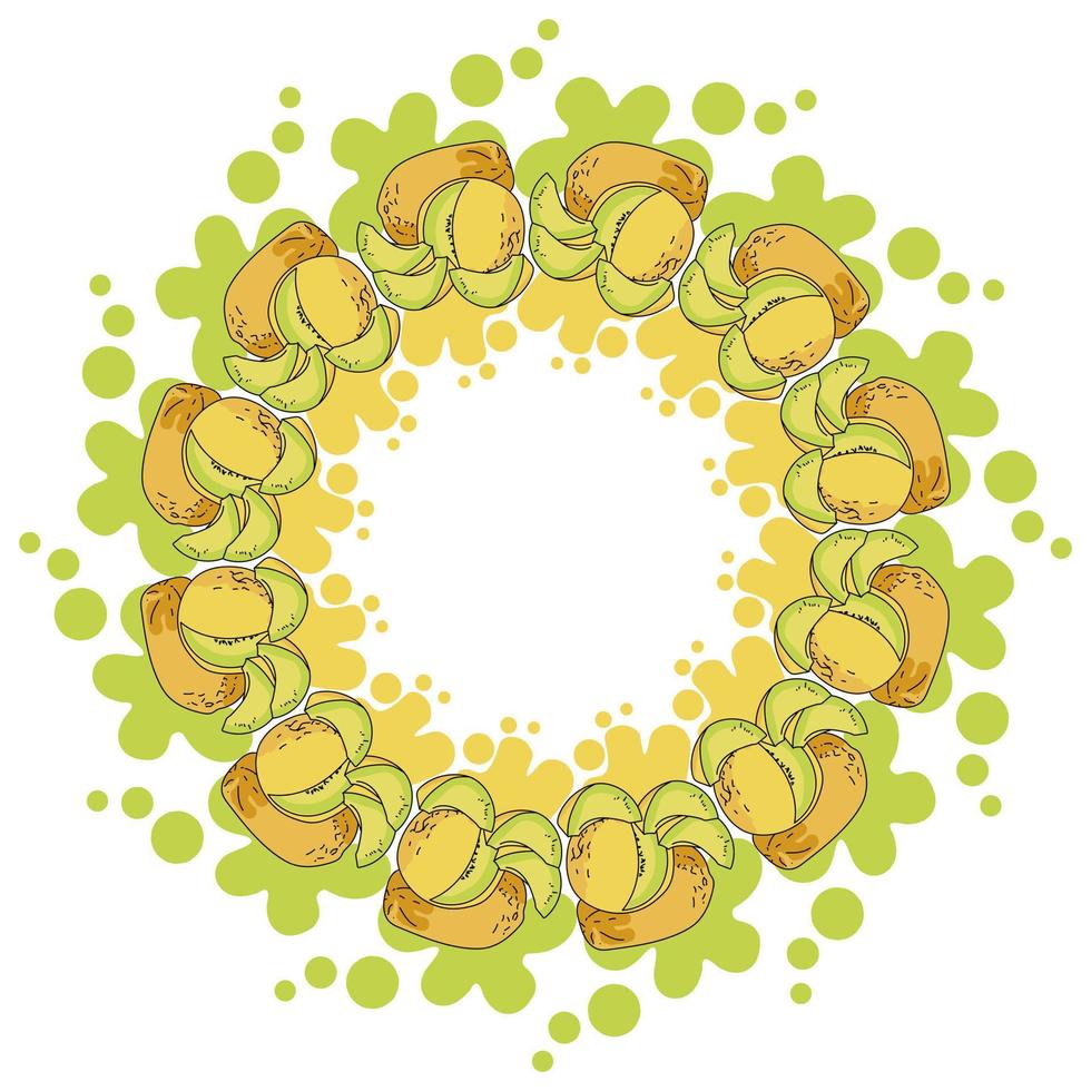 A wreath of juicy yellow melons and color splashes with splashes, bright yellow fruit whole and slices in the form of a round frame vector
