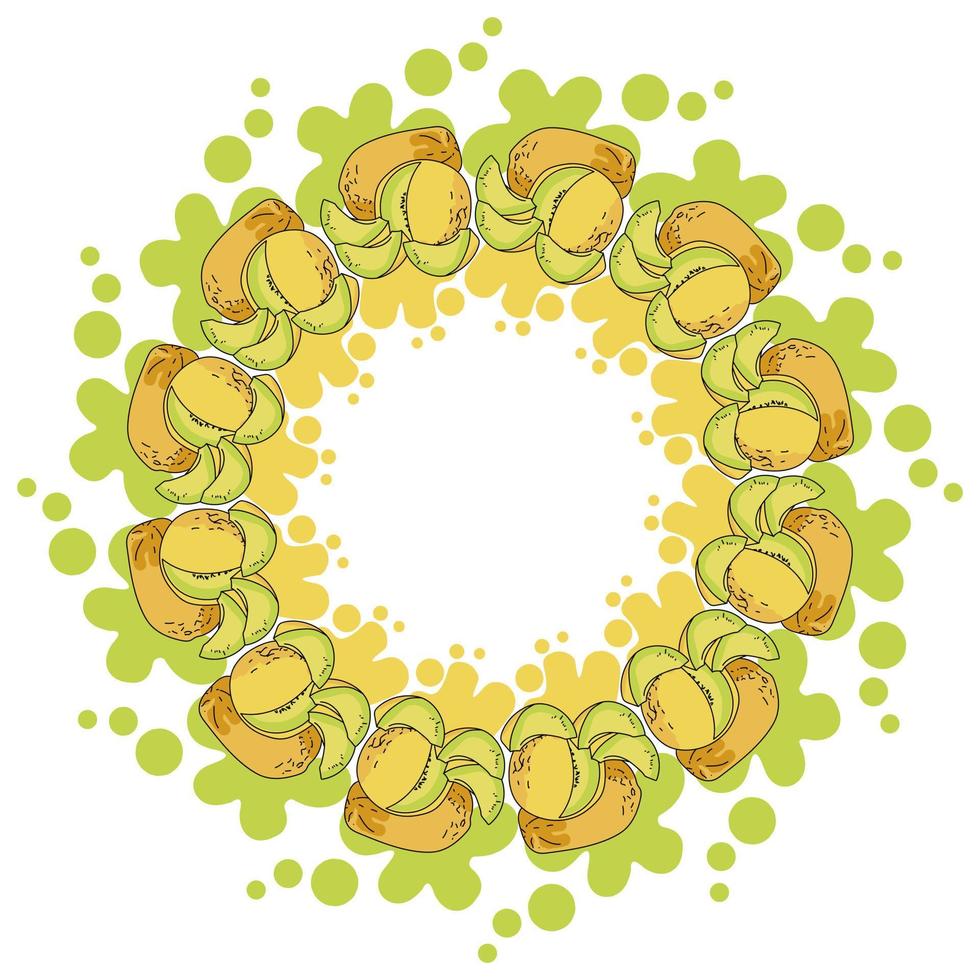 una corona de jugosos melones amarillos y salpicaduras de color con salpicaduras, fruta amarilla brillante entera y en rodajas en forma de marco redondo vector