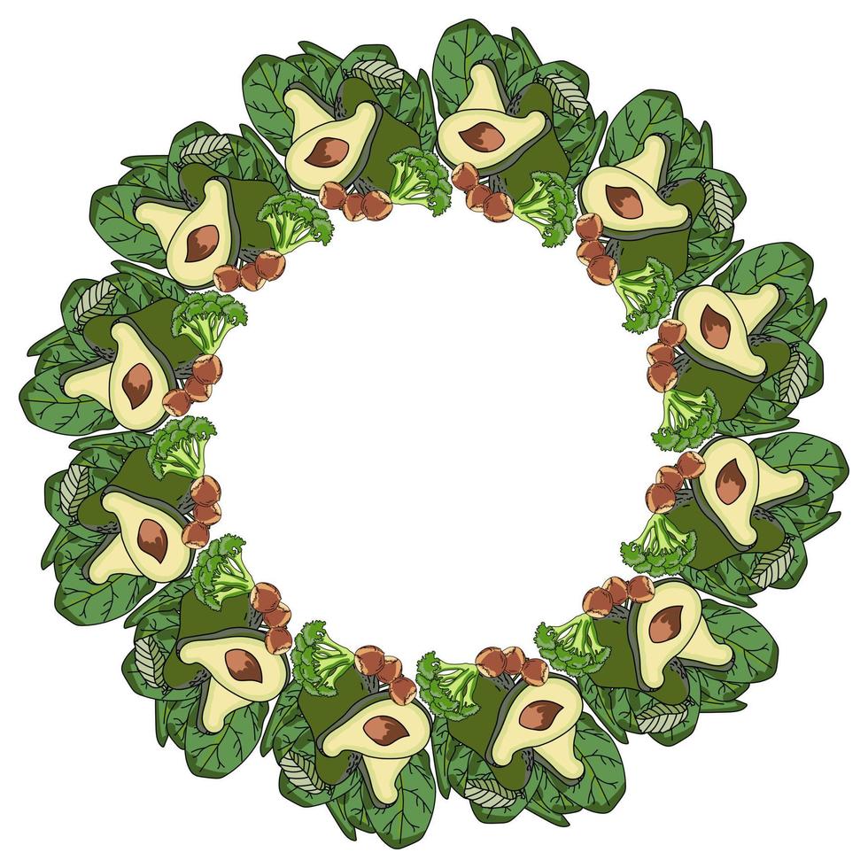 Wreath of green vegetables and nuts. Round frame avocado, spinach and broccoli, superfood ingredients vector