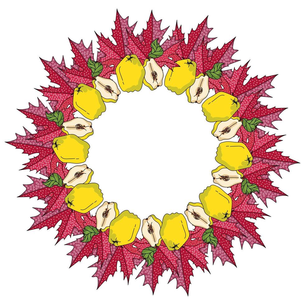 Autumn wreath of red maple leaves with patterns and quince, fruits cut and whole and a bunch of leaves laid out in a round frame vector