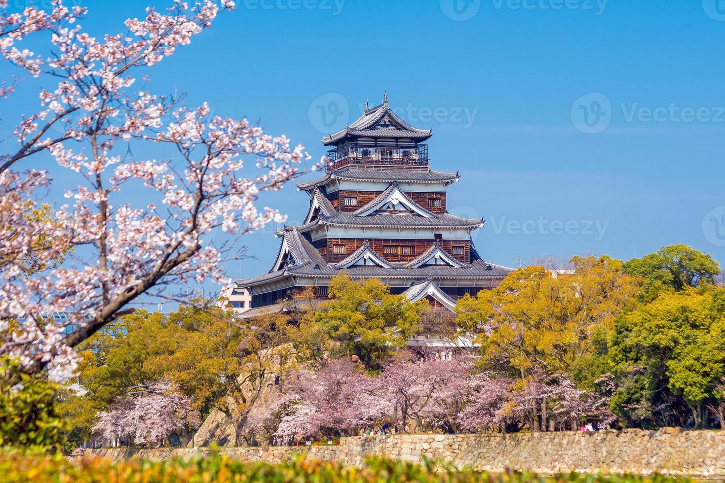 Hiroshima Castle During Cherry Blossom Season photo