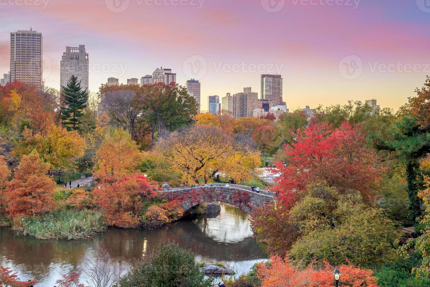 Central Park in Autumn photo