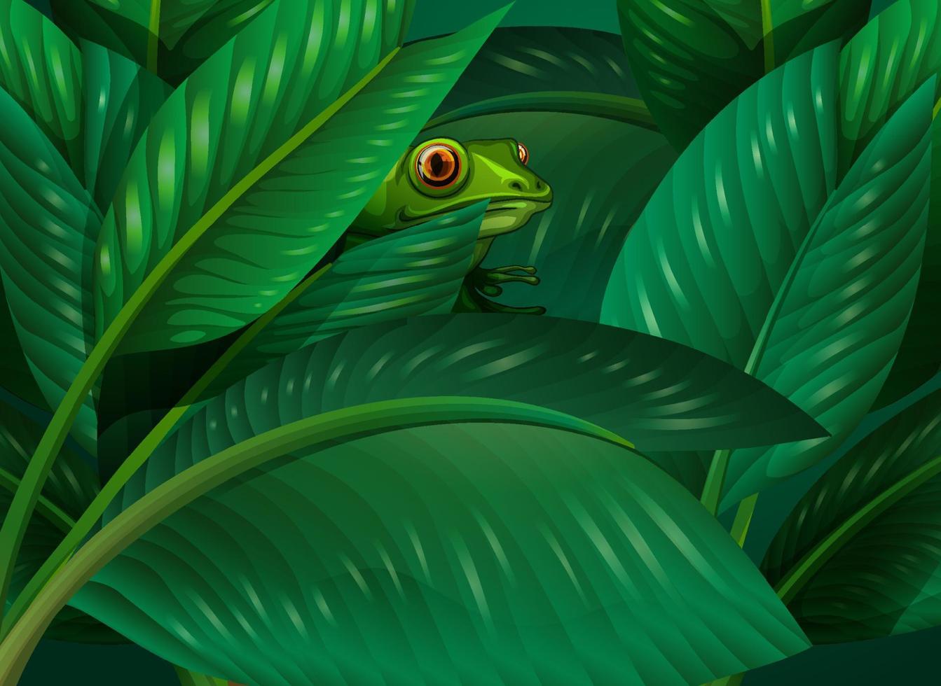 Frog hidden in the tropical leaves background vector