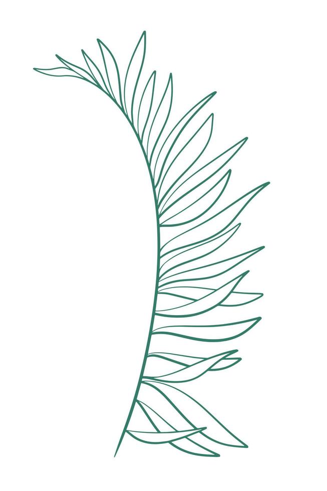 Elongated branch with long leaves isolated vector illustration