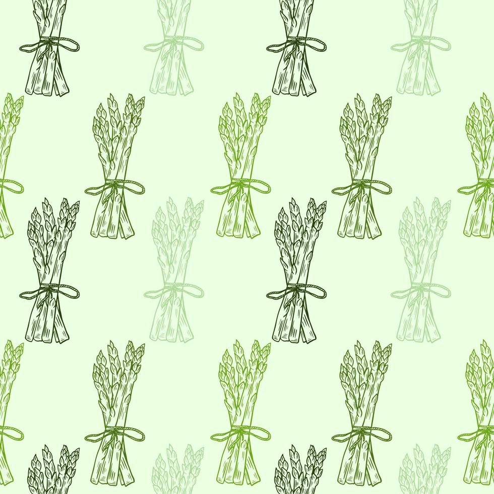Fresh asparagus bunches seamless pattern vector illustration