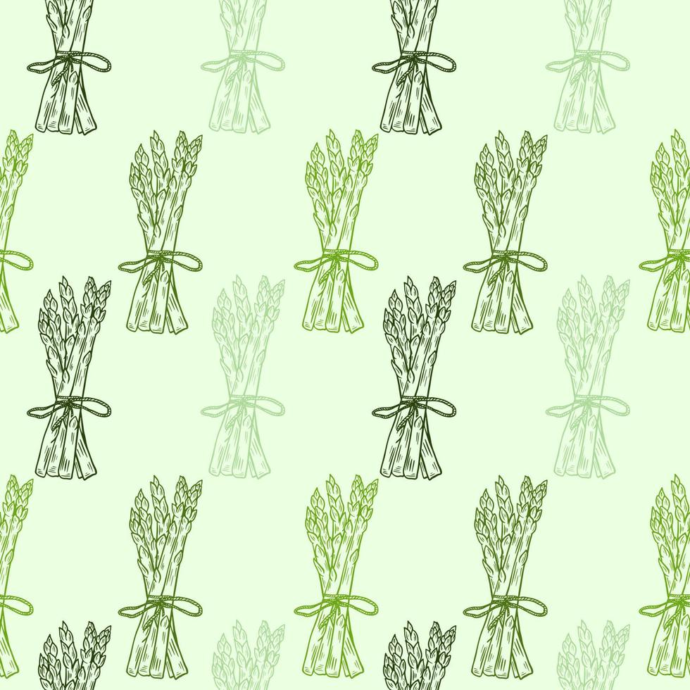 Fresh asparagus bunches seamless pattern vector illustration